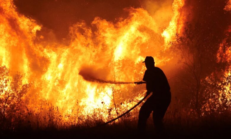 18 قتيلًا في حرائق غابات تشيلي وإعلان حالة كارثة وسط تحذيرات من تصاعد الخسائر