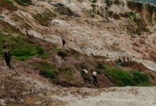 صورة كارثة إنسانية تهز شرق الكونغو.. انهيار منجم يقتل أكثر من 200 شخص