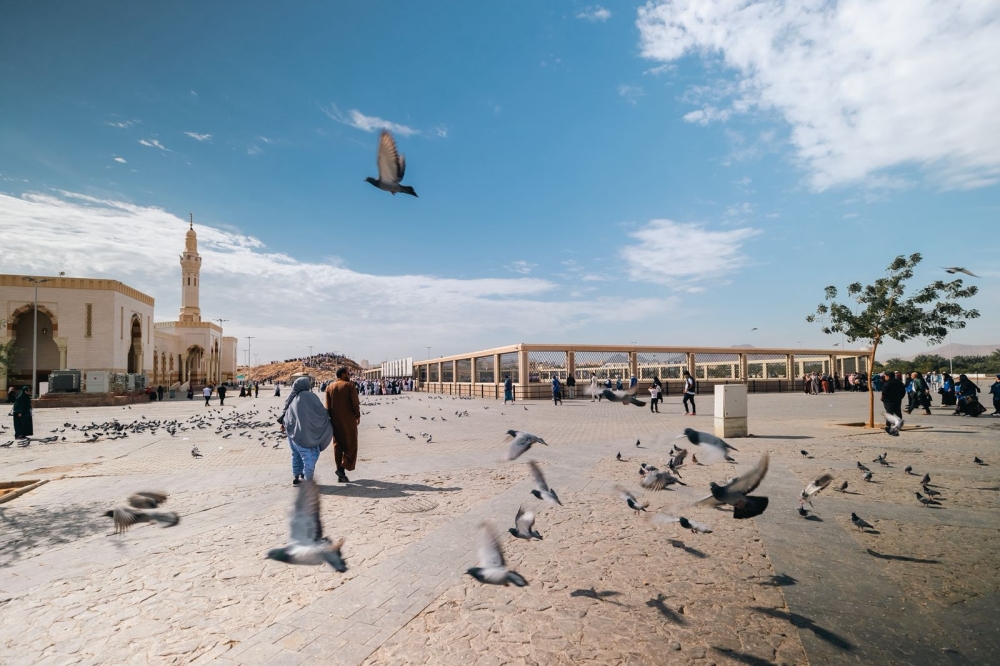 شتاء المدينة المنورة.. حين تلتقي الذاكرة بالتجربة في قلب طيبة الطيبة