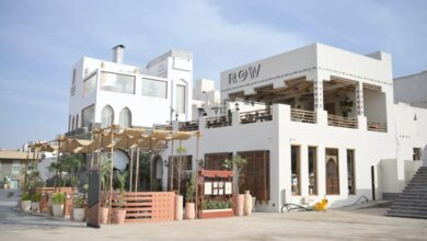 صورة شتاء المدينة المنورة.. حين تلتقي الذاكرة بالتجربة في قلب طيبة الطيبة