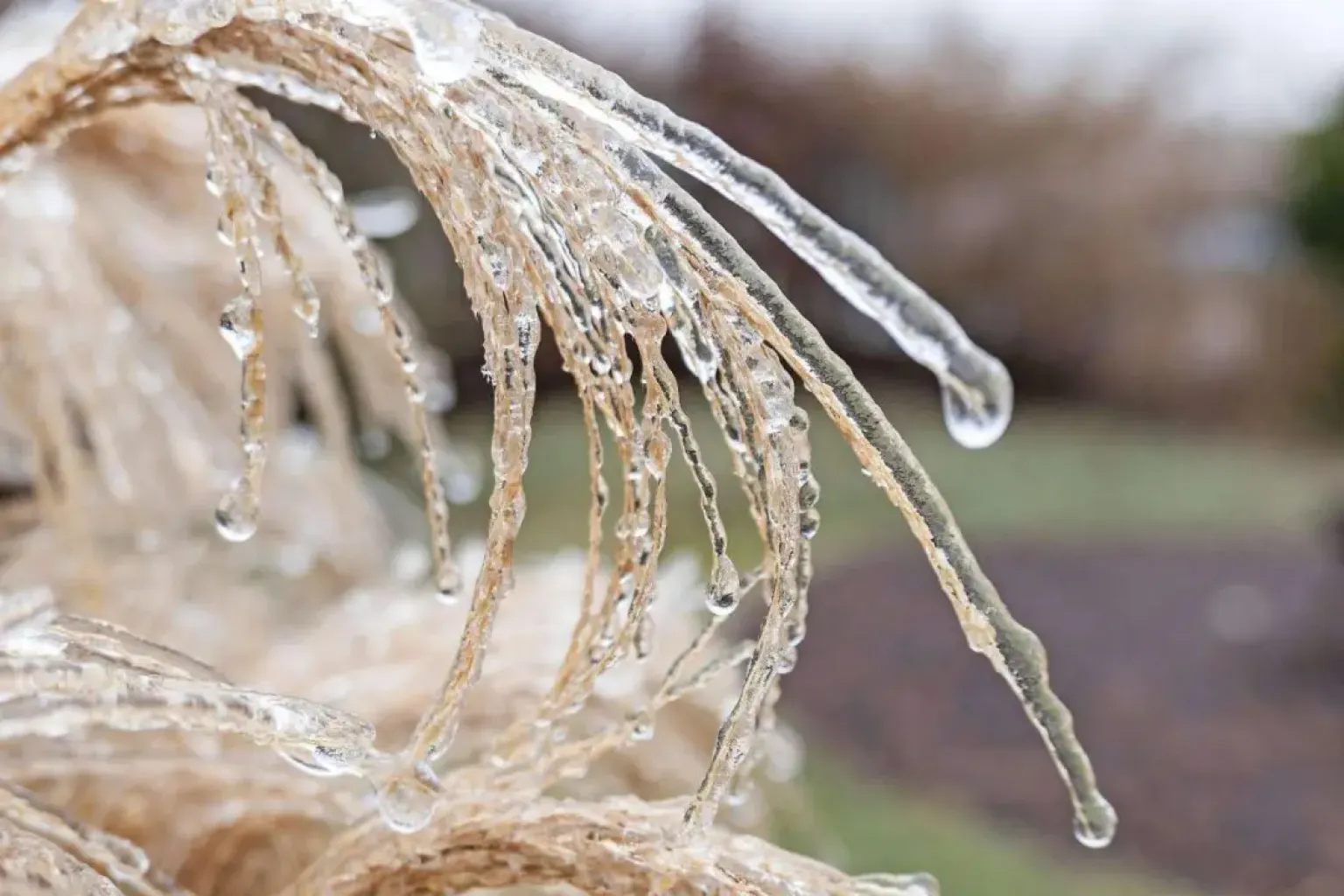 البلاد تحت الصفر القاتل.. صقيع تاريخي يضرب النمسا والحرارة تلامس −25