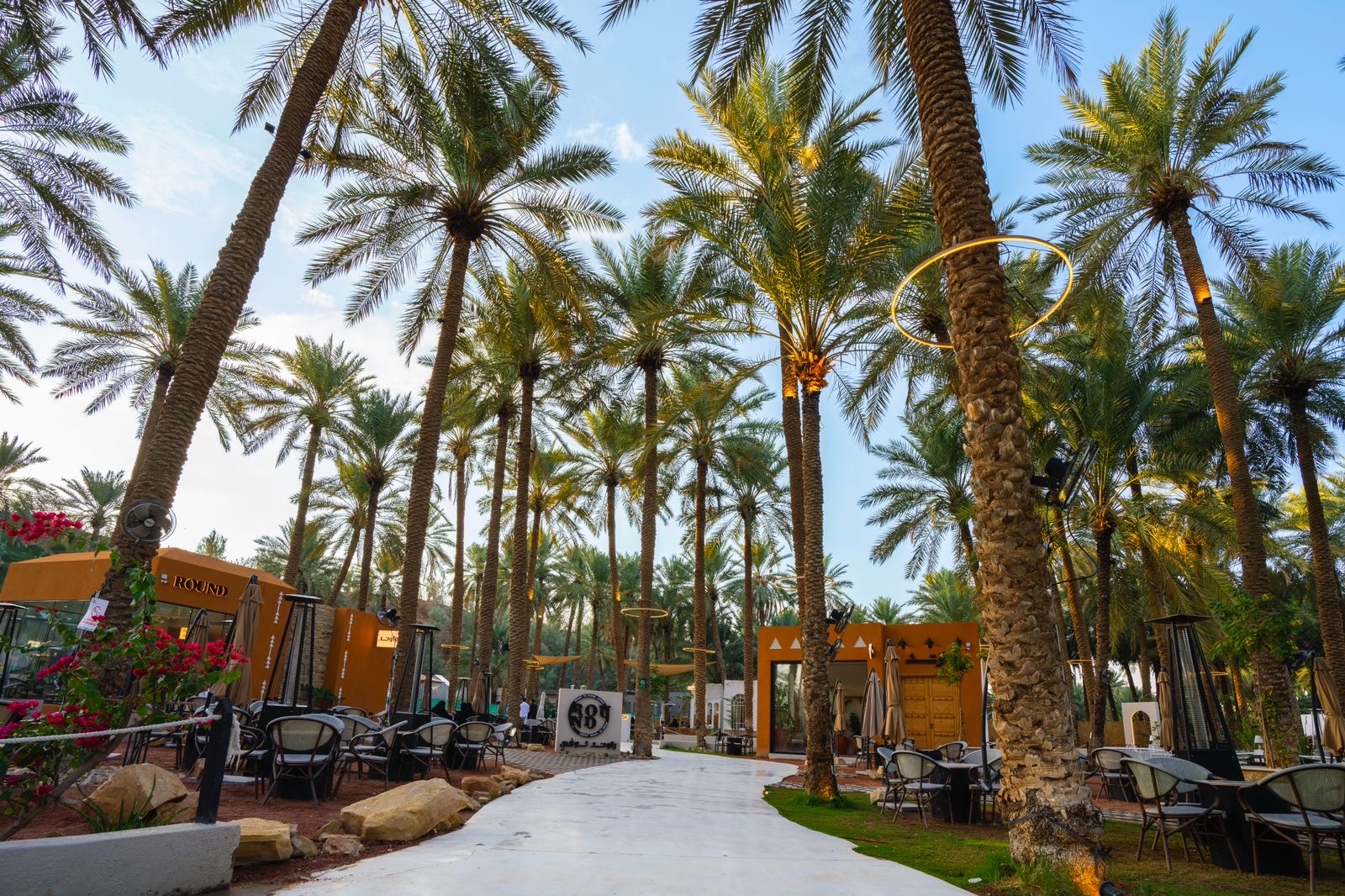 القصيم تتصدر السياحة الشتوية الهادئة.. خيار عائلي آمن ضمن «شتاء السعودية»