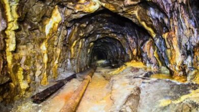 صورة الذهب الملعون يعود من قلب الأمازون.. منجم سيرا بيلادا يشعل صراعًا بين الاقتصاد والبيئة بعد 30 عامًا من الصمت