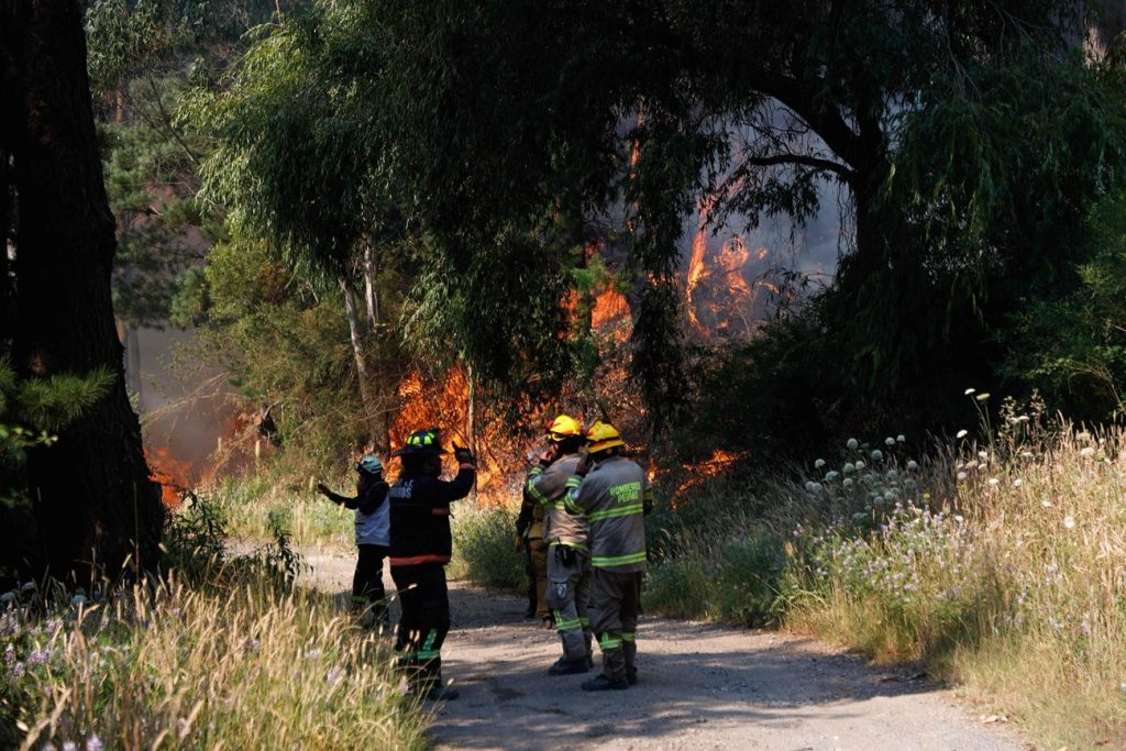 18 قتيلًا في حرائق غابات تشيلي وإعلان حالة كارثة وسط تحذيرات من تصاعد الخسائر