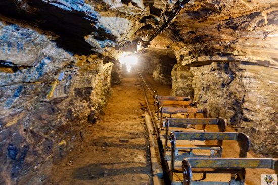 الذهب الملعون يعود من قلب الأمازون.. منجم سيرا بيلادا يشعل صراعًا بين الاقتصاد والبيئة بعد 30 عامًا من الصمت