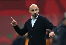 صورة اختيار قاري يثير الجدل.. الركراكي أفضل مدرب في كأس أفريقيا 2025 رغم خسارة النهائي