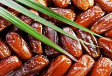 صورة هدية التمور السعودية إلى أذربيجان.. 5 أطنان تصل إلى نصف مليون مستفيد وتعزز روابط المحبة في القوقاز