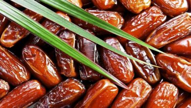 صورة هدية التمور السعودية إلى أذربيجان.. 5 أطنان تصل إلى نصف مليون مستفيد وتعزز روابط المحبة في القوقاز