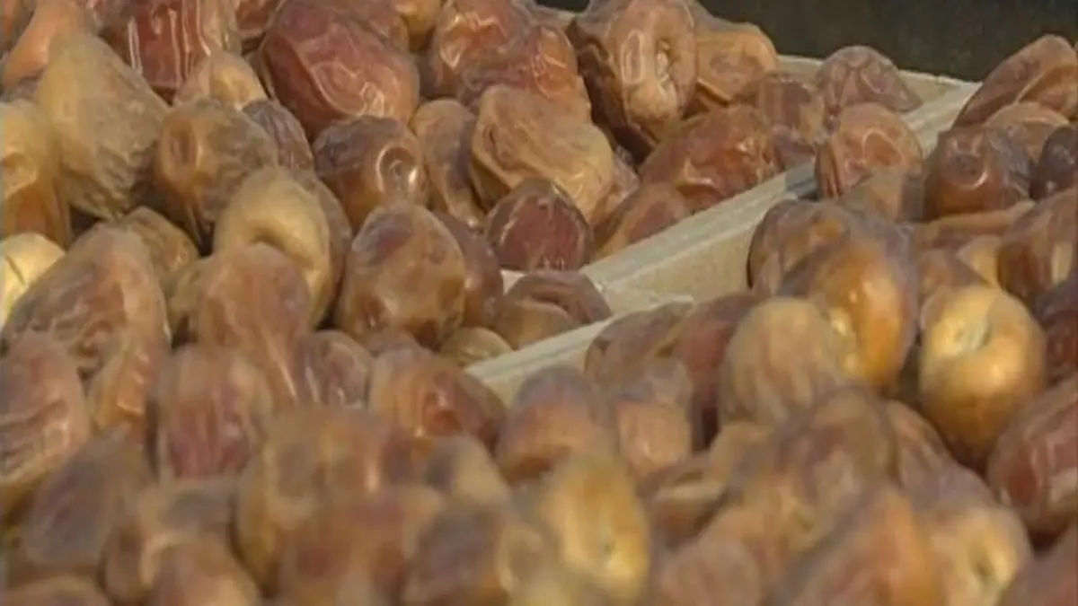 صحيفة عبرية.. عاصفة التمر الإسرائيلي تهز مصر