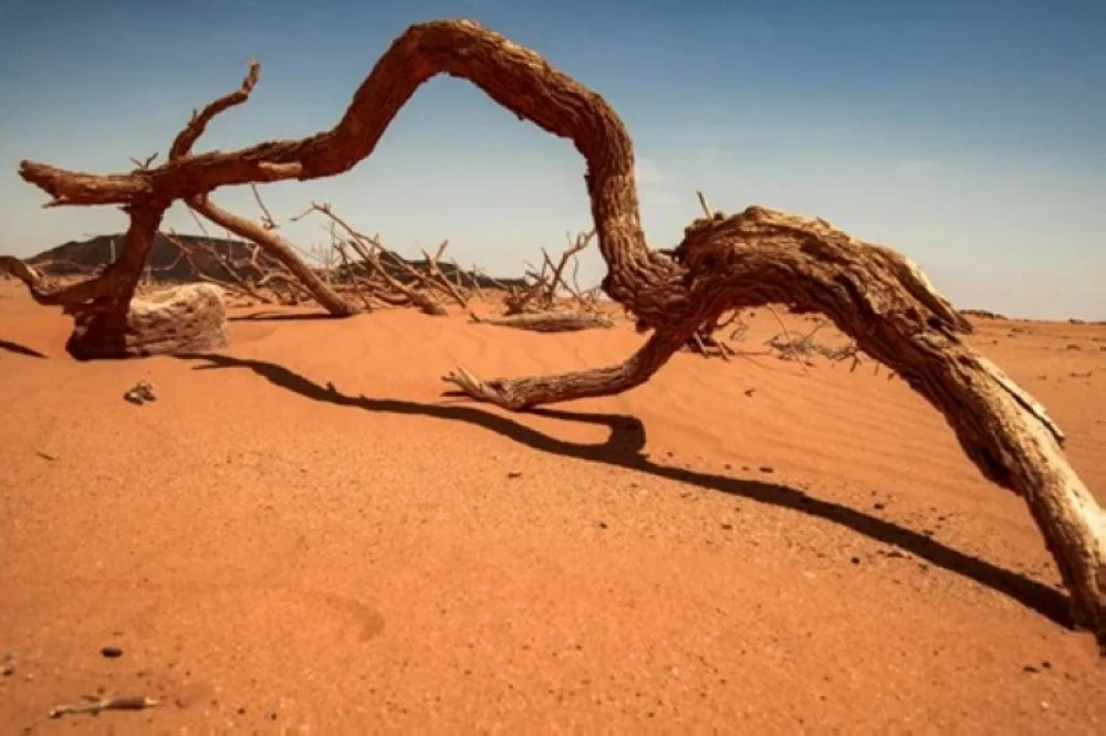 صحراء بيوضة تتحول إلى ورقة السودان الرابحة في سباق المعادن الإستراتيجية