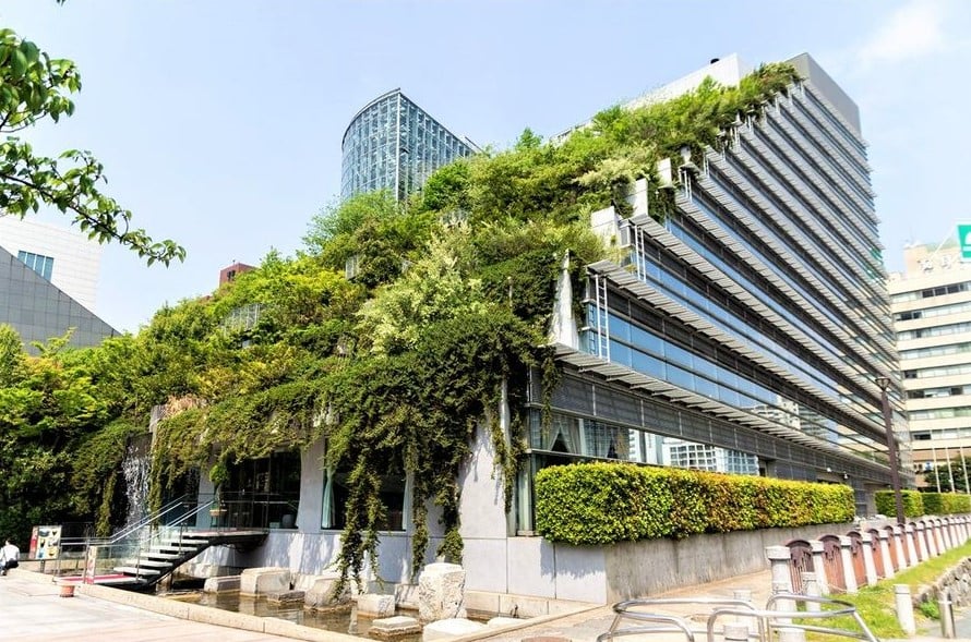 السعودية تقود المباني الخضراء إقليميًا في 2025.. قفزة "سعف" من الفكرة إلى الأثر