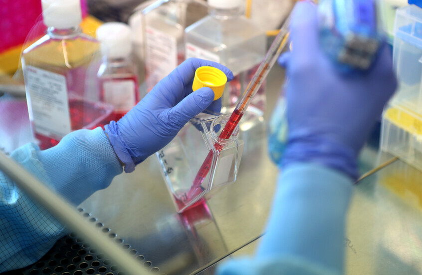 أول لقاح بشري ضد «القاتل الصامت» يدخل المرحلة السريرية… خطوة تاريخية في مواجهة أحد أخطر الفايروسات عالميًا