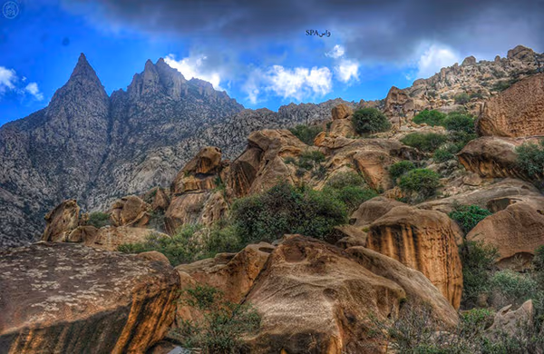 صورة حين تلامس الغيوم قمم شدا… مشهد الباحة الذي يخطف الأنفاس كل شتاء