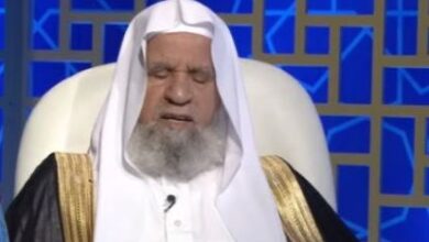 صورة اشتراك الأسرة في ثمن أضحية الغنم.. فتوى الركبان تفتح باب التيسير مع غلاء الأسعار