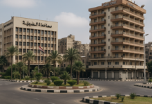 صورة محافظ الشرقية.. قراءة تحليلية في إدارة التنمية المحلية – خاص