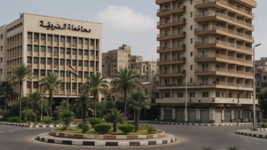 صورة محافظ الشرقية.. قراءة تحليلية في إدارة التنمية المحلية – خاص