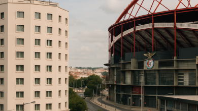 صورة بنفيكا.. رحلة العملاق البرتغالي بين التاريخ والبناء المستدام