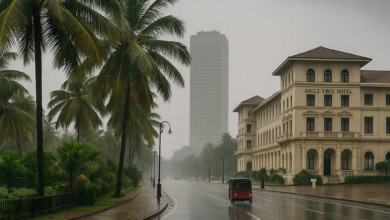 صورة طقس كولومبو.. مفاتيح فهم المناخ الاستوائي وتأثيره على الحياة اليومية