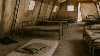 صورة محمد بن زايد.. رؤية القيادة التي أعادت رسم ملامح الإمارات الحديثة