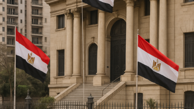 صورة وزارة التضامن الاجتماعي.. محرك العدالة المجتمعية والتحول في السياسات الاجتماعية