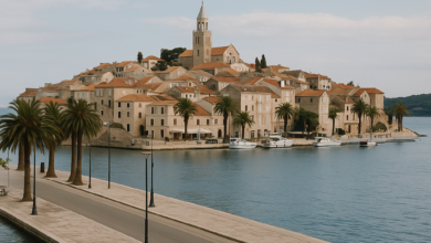صورة الجزيرة.. سر المكان الذي شكّل هوية البحر والناس