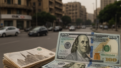 صورة تحليل شامل لتقلبات الدولار مقابل الجنيه المصري.. قراءة في واقع السوق وأفق المستقبل