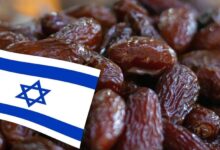 صورة صحيفة عبرية.. عاصفة التمر الإسرائيلي تهز مصر