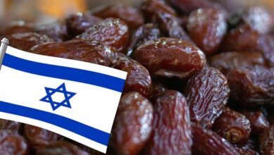 صورة صحيفة عبرية.. عاصفة التمر الإسرائيلي تهز مصر