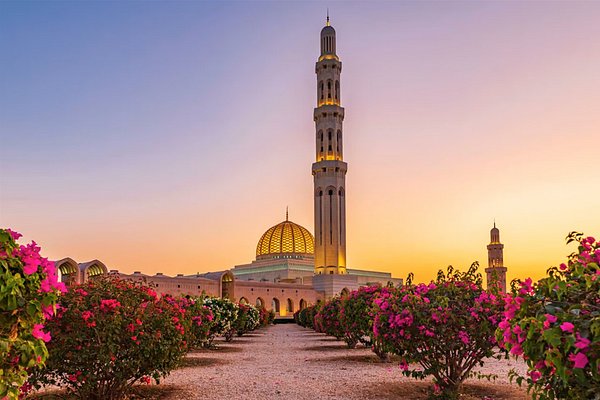 الشرق الأوسط يتفوق عالميًا في السياحة.. السعودية ومصر والإمارات والمغرب في الصدارة