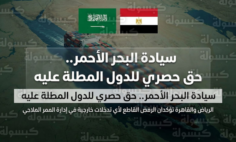 القاهرة والرياض تُحكمان "بوابة البحر الأحمر" وتغلقان الباب أمام طموحات أديس أبابا