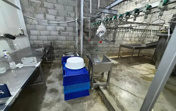 دواجن مُذابة تُباع كطازجة في الأحساء تشعل ملف سلامة الغذاء في الأسواق