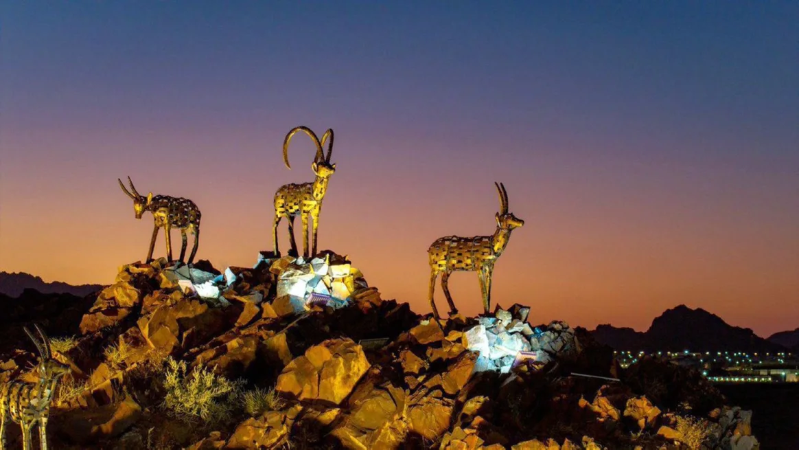 وعول حائل تستقبل الزوار… عندما تتحول مداخل المدن إلى رسالة هوية وجمال