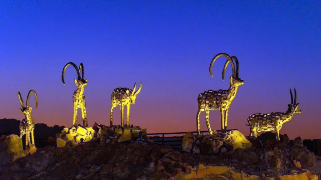 وعول حائل تستقبل الزوار… عندما تتحول مداخل المدن إلى رسالة هوية وجمال