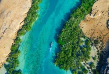 صورة هجرة الحريد إلى فرسان… ظاهرة بحرية سنوية تصنع مشهدًا بيئيًا نادرًا في السعودية