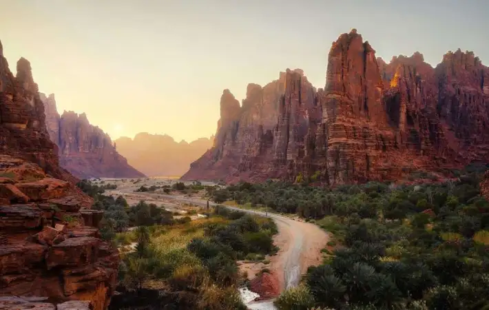 إنجاز غير مسبوق في صحراء السعودية.. كيف نجحت محمية ولي العهد في فك شفرة "شبح الصحراء"؟