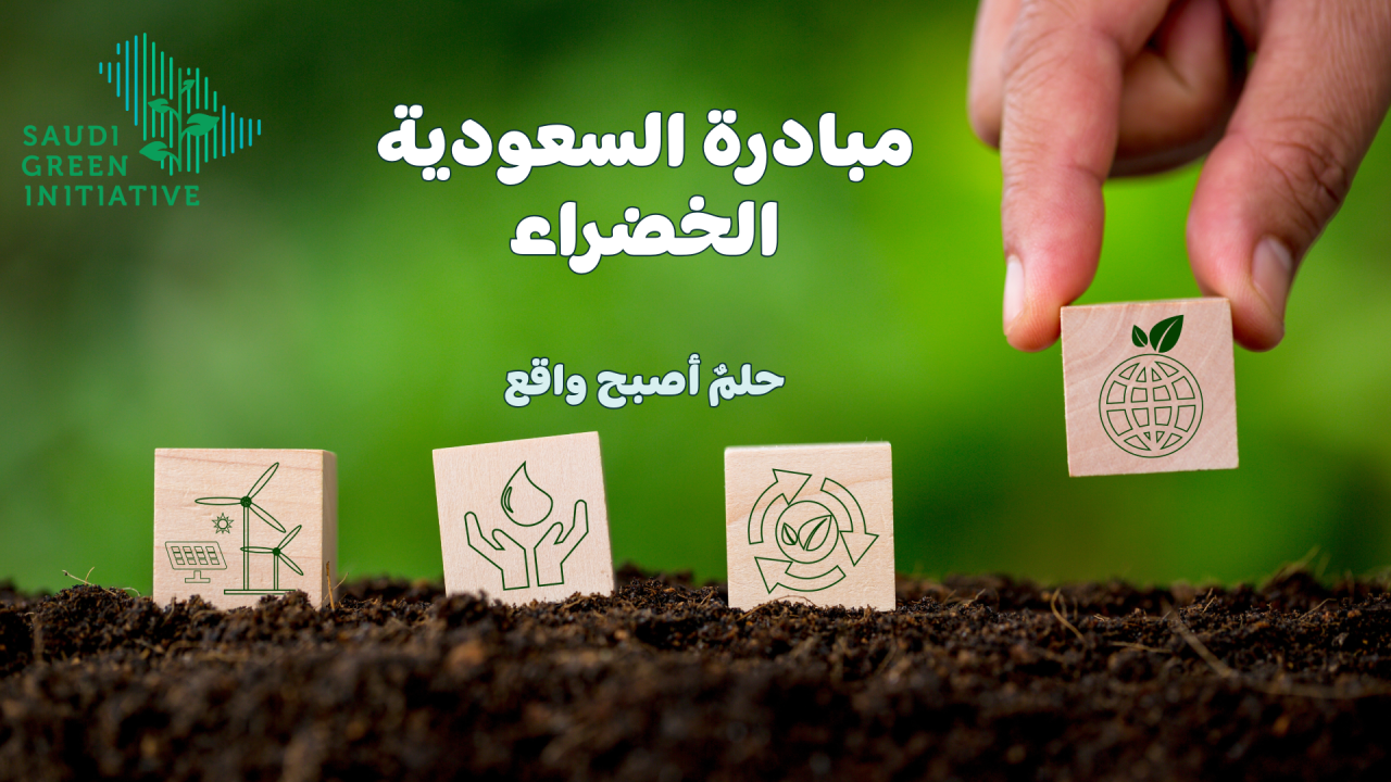 السعودية الخضراء.. كيف تحولت الرؤية إلى واقع ملموس؟