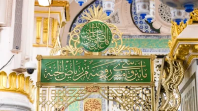 صورة ممر السلام في المسجد النبوي.. الطريق الأهم لزيارة الروضة يخدم أكثر من 70 ألف زائر يوميًا