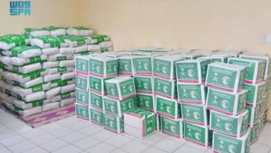 صورة دعم سعودي جديد لليمن.. مركز الملك سلمان يسلّم شحنة أدوية لمكافحة الملاريا