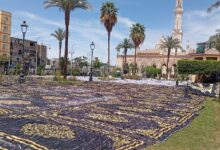 صورة مصليات عيد الفطر في ينبع الصناعية جاهزة لاستقبال المصلين في 1447هـ