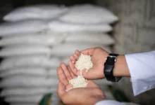 صورة أزمة الأسمدة العالمية تتفاقم.. حرب إيران تهدد الأمن الغذائي وترفع الأسعار