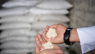 صورة أزمة الأسمدة العالمية تتفاقم.. حرب إيران تهدد الأمن الغذائي وترفع الأسعار