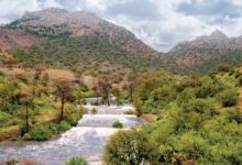 صورة سيسد يتحول لواجهة بيئية جديدة.. إطلاق كائنات مهددة وتحديد مخيمات منظمة في متنزه الطائف