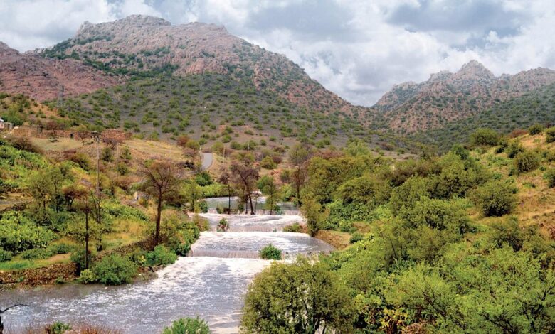 سيسد يتحول لواجهة بيئية جديدة.. إطلاق كائنات مهددة وتحديد مخيمات منظمة في متنزه الطائف