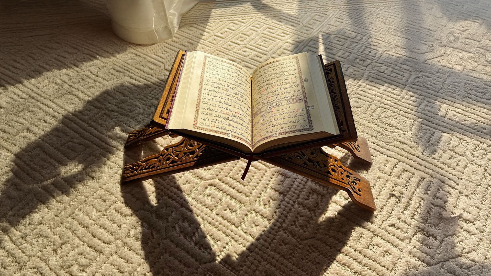 حين تغيّر الكسرة والفتحة وجه المعنى.. "السِّلم" و"السَّلْم" و"السَّلَم" تكشف أسرار الدقة القرآنية