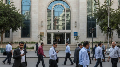 صورة الهيئة القومية للتأمين الاجتماعي.. كل ما تحتاج معرفته عن حمايتك المالية والمستقبلية